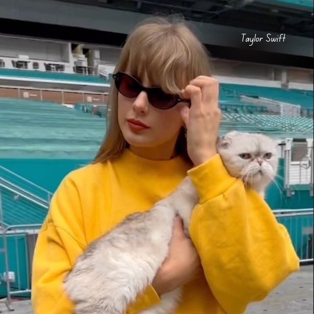 Taylor Swift