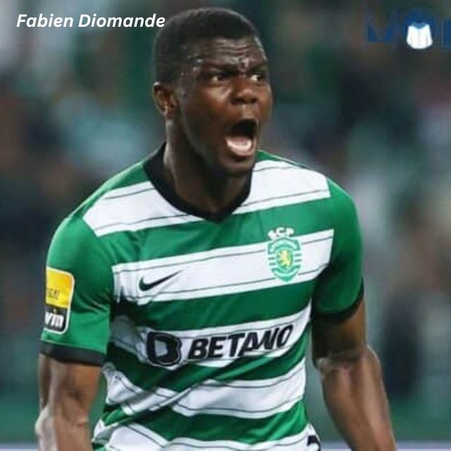 Fabien Diomande