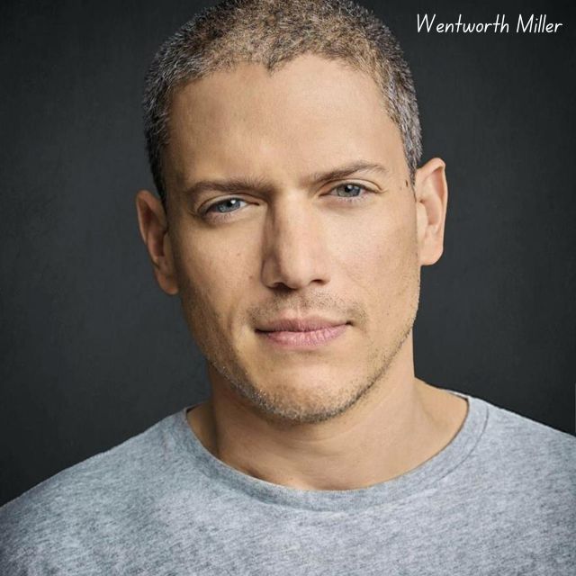 Wentworth Miller Height in Feet