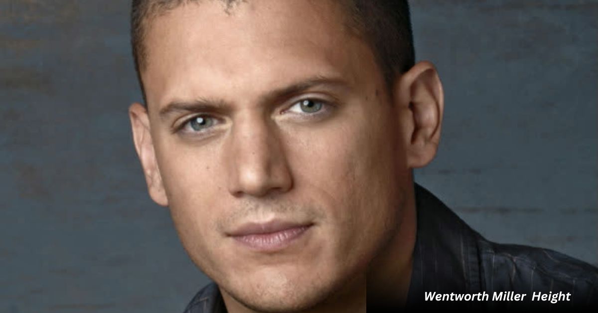 Wentworth Miller measurements, bio, height, weight, shoe size